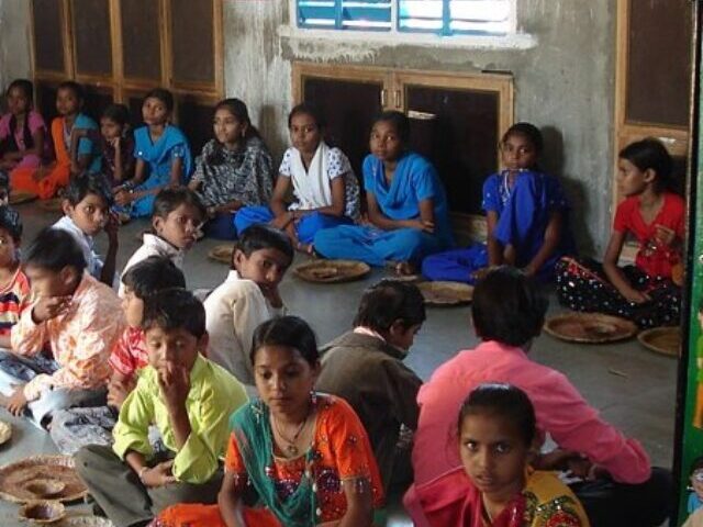cropped-Snake-in-Mid-Day-Meal-Sickens-100-Bihar-Students-NHRC-Acts-14.jpg