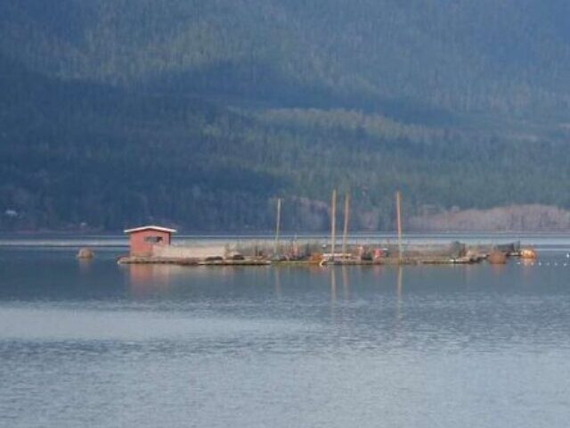 cropped-Washington-Ends-Fish-Farming-After-2017s-7.jpg