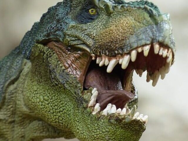 Tyrannosaurus.
