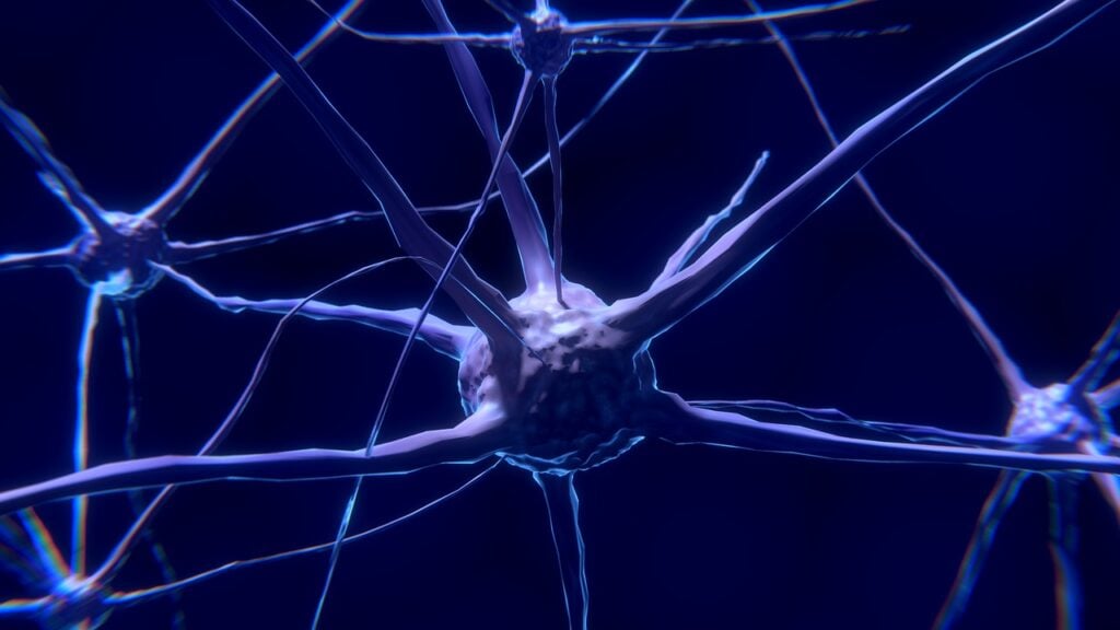 Representative Image- Nerve Cells.