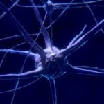 Representative Image- Nerve Cells.