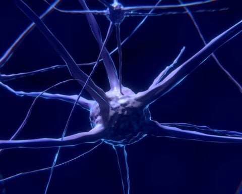 Representative Image- Nerve Cells.