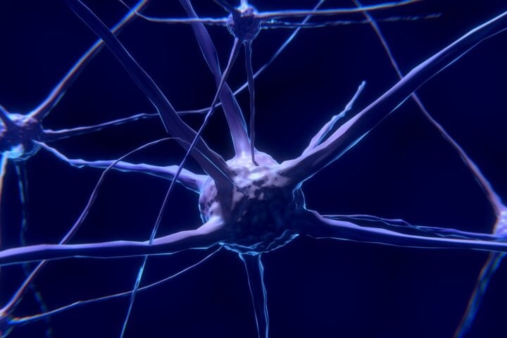 Representative Image- Nerve Cells.