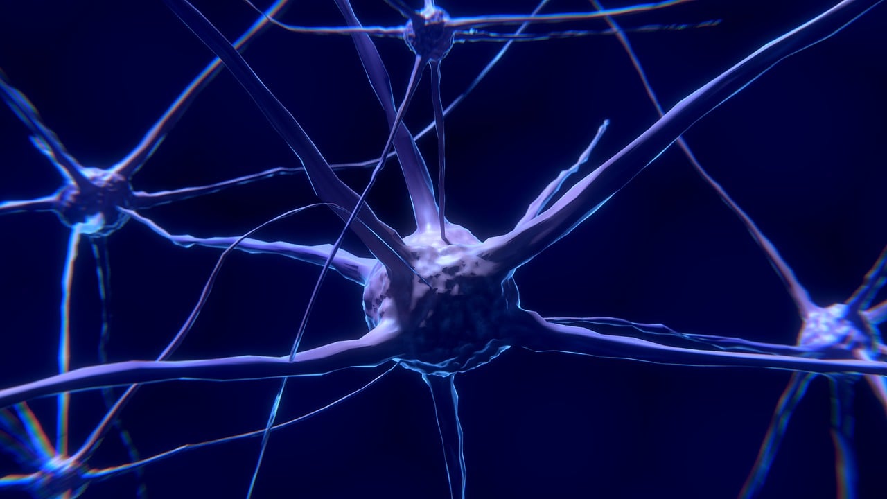 Representative Image- Nerve Cells.