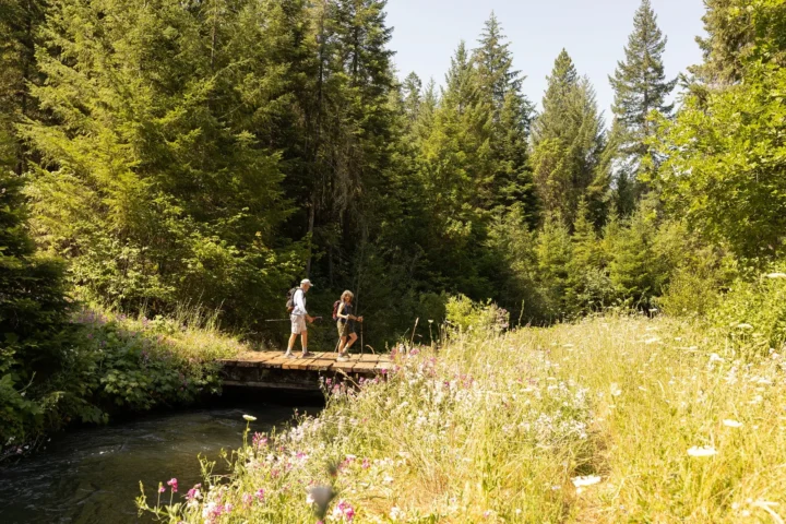 Tualatin Mountain Forest