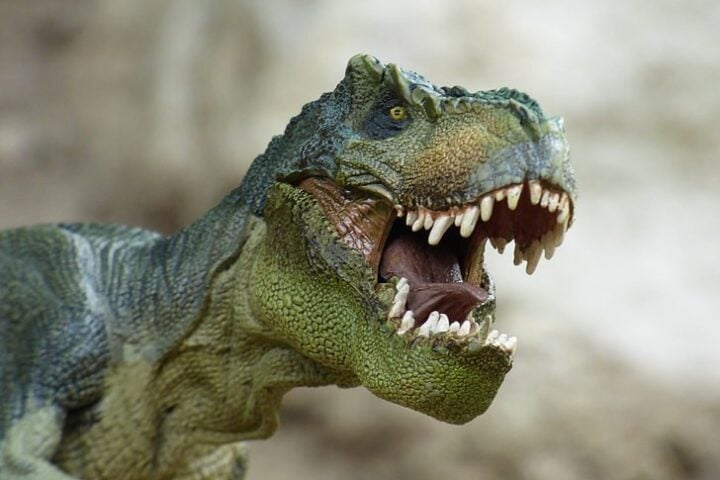 Tyrannosaurus.