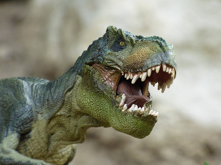 Tyrannosaurus.