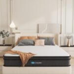 Crayan Mattresses