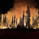 Representative Image. Lick Fire on the Umatilla National Forest burning at night.
