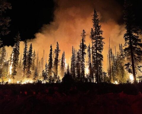 Representative Image. Lick Fire on the Umatilla National Forest burning at night.