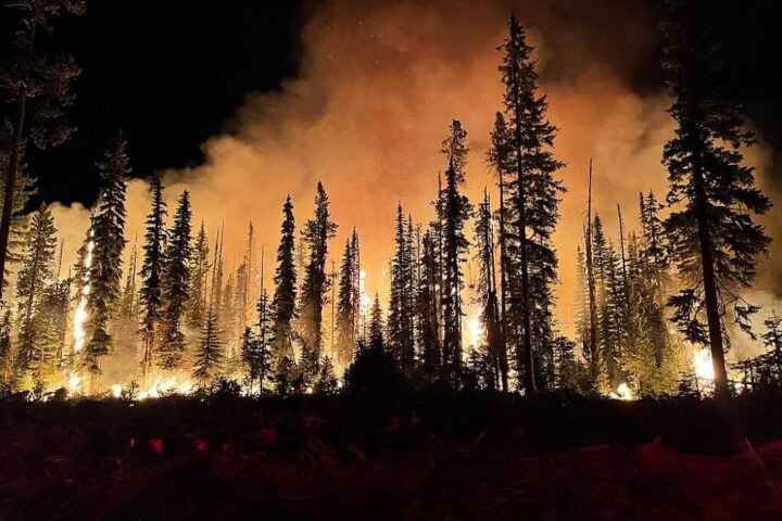 Representative Image. Lick Fire on the Umatilla National Forest burning at night.