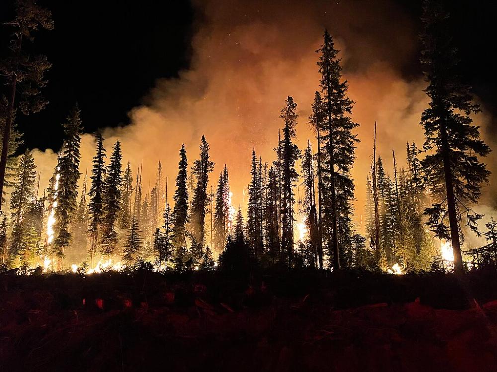 Representative Image. Lick Fire on the Umatilla National Forest burning at night.