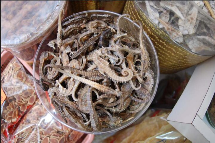 Dried seahorse in a bowl.