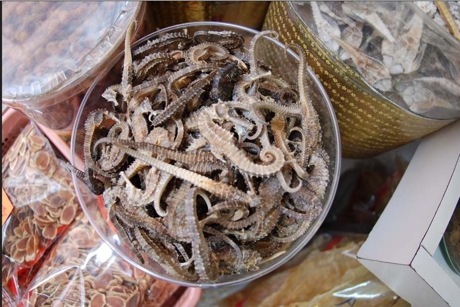 Dried seahorse in a bowl.
