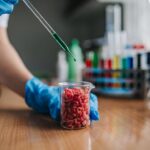 Lab grown mincemeat Photo Source: Ivan Radic