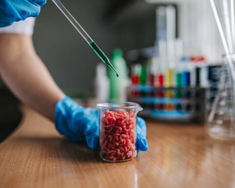 Lab grown mincemeat Photo Source: Ivan Radic