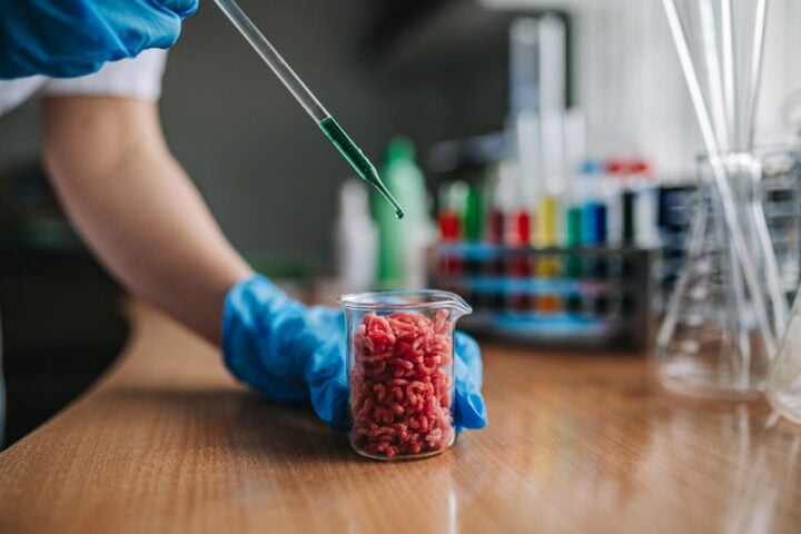 Lab grown mincemeat Photo Source: Ivan Radic