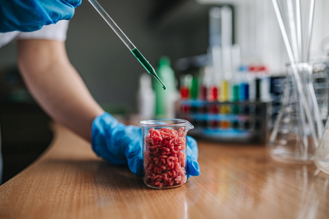 Lab grown mincemeat Photo Source: Ivan Radic