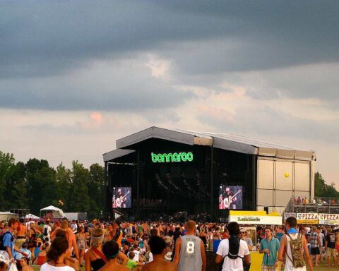 Bonnaroo Music and Arts Festival 2010 Manchester, TN. Photo Source: Stab At Sleep (CC BY-SA 2.0)