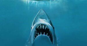 Shark