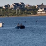 Shark sighting in Block Island Pond Photo Credit: Jennifer Seebeck (TikTok)