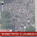 LA Protest Photo Source: @Christian La Mont (X, formerly Tweet)