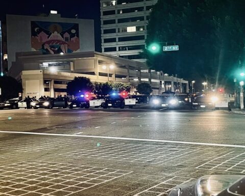 LA Protest Photo Source: @Christian La Mont (X, formerly Tweet)