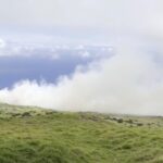 Maui Wildfire