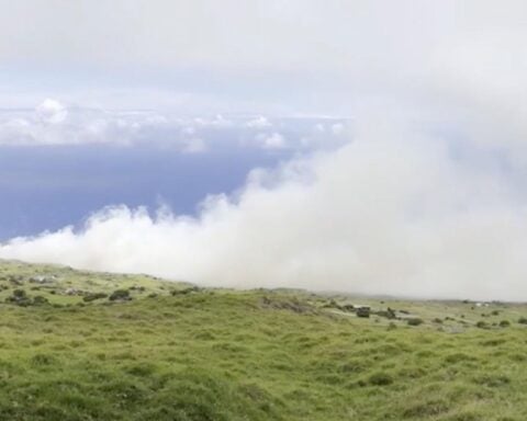 Maui Wildfire