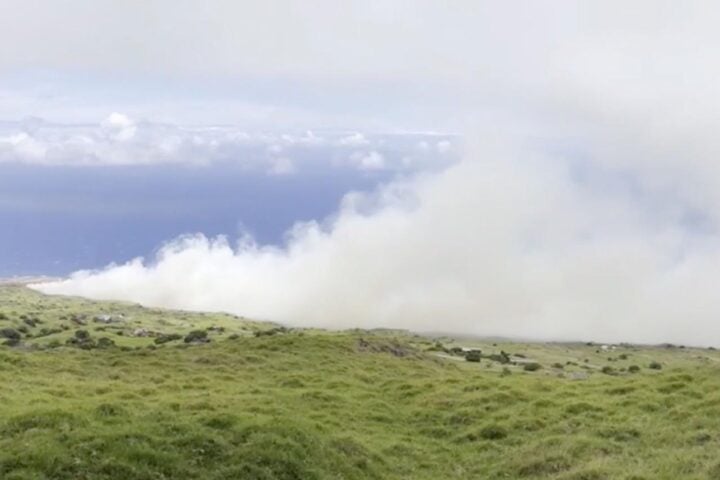 Maui Wildfire