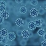 Microbe Photo Source: Krisy Gashler (cornell)