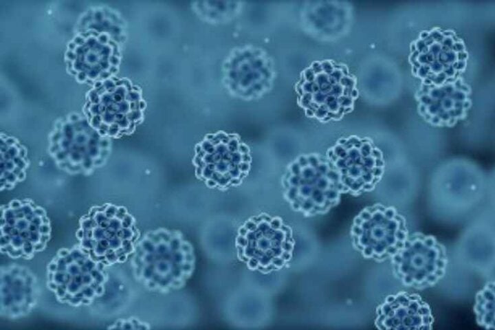 Microbe Photo Source: Krisy Gashler (cornell)