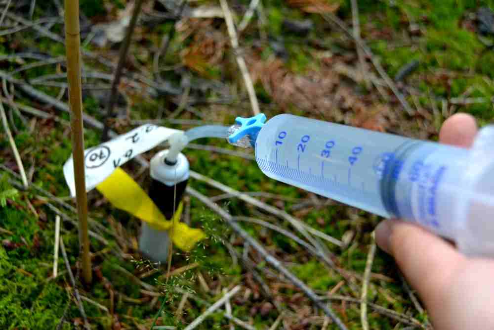 Forest Drought Defense Photo Source: Christina Hackmann
