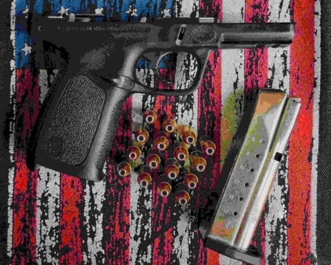A Disassembled Gun. Photo Source: Connor McManus (Pexels)