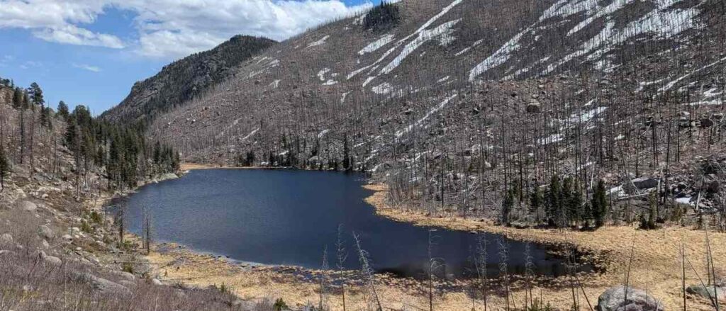 A high-altitude lake surrounded by scorched and barren trees