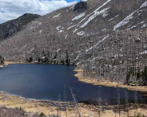 A high-altitude lake surrounded by scorched and barren trees