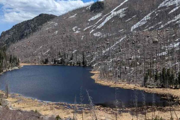 A high-altitude lake surrounded by scorched and barren trees