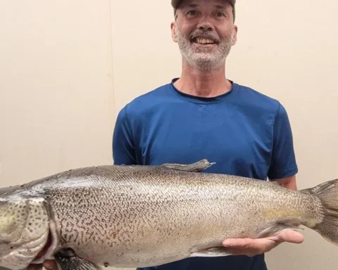 Tiger trout record broken Photo Source: wgfd.wyo.gov
