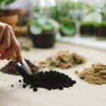 Soil on Desk Photo Source: Anna Shvets (Pexels)
