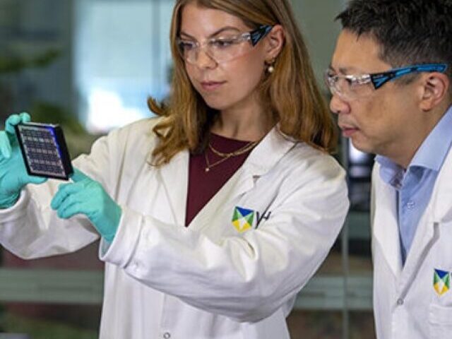 Blood Test Ends Gluten Challenge for Coeliac Disease Diagnosis (1)