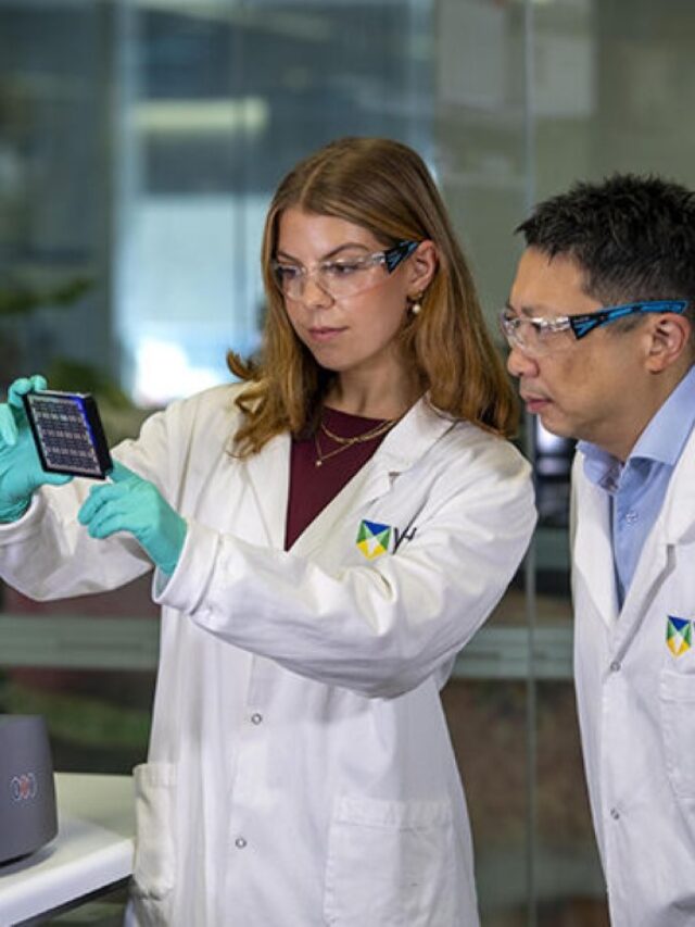 Blood Test Ends Gluten Challenge for Coeliac Disease Diagnosis