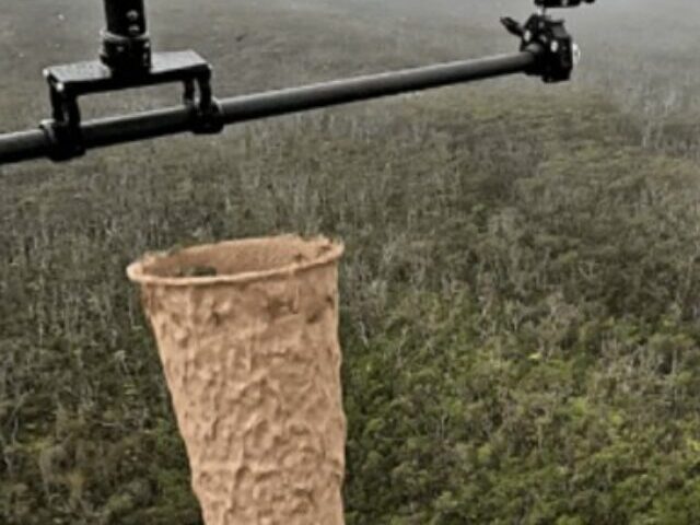 cropped-Drones-Deploy-Millions-of-Mosquitoes-with-Birth-Control-Bacteria-to-Save-Hawaiis-Last-17-Bird-Species.jpg