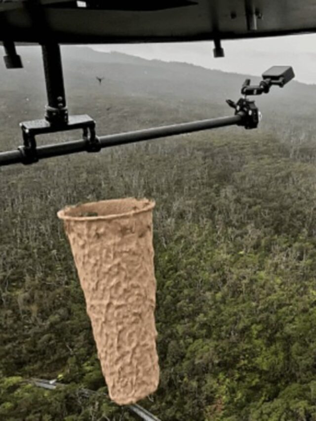 Drones Drop Mosquito “Birth Control” to Save Hawaii’s Rare Birds