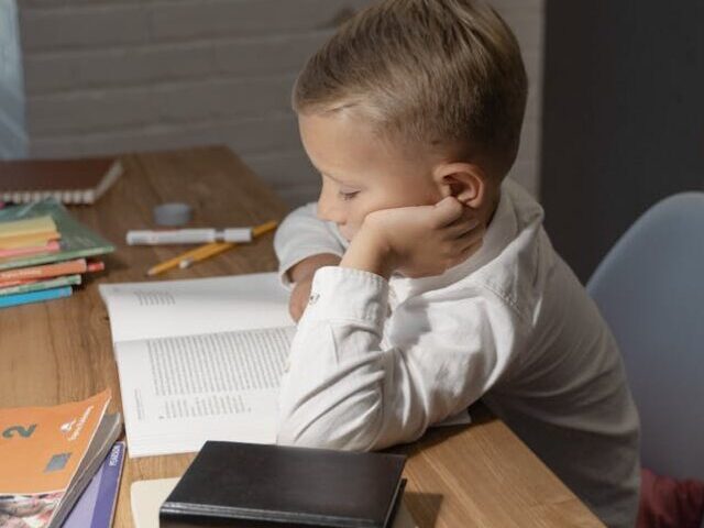 Nearly Half of Australian Kids Not Ready for School Indigenous Programs Show Surprising Success