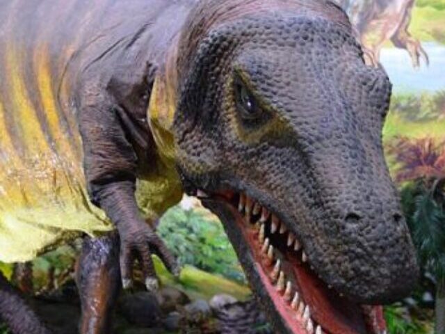 cropped-Reptiles10000Mile-Dead-Zone-Trek-Led-to-Dinosaur-Evolution-7.jpg