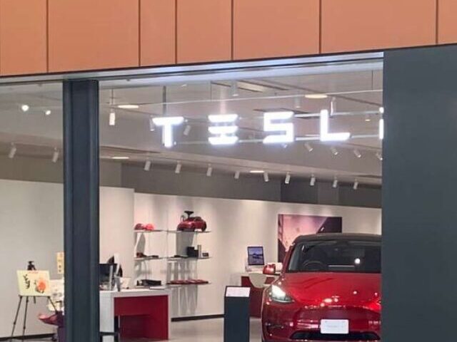 cropped-Tesla-Loses-380B-as-Musk-Trump-Friendship-Implodes-2-1.jpg