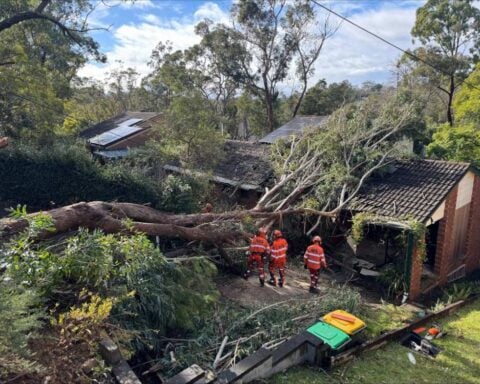 NSW SES has responded to more than 2,400 incidents across the state in the past 24 hours 🦺