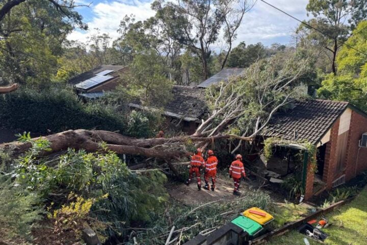 NSW SES has responded to more than 2,400 incidents across the state in the past 24 hours 🦺