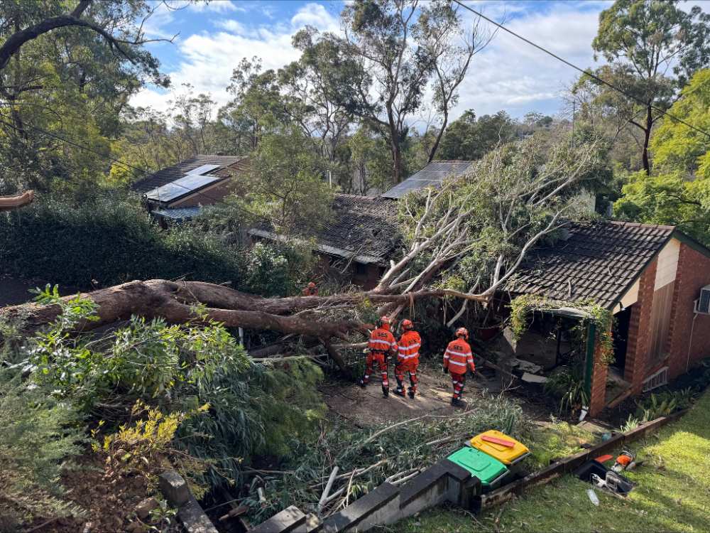 NSW SES has responded to more than 2,400 incidents across the state in the past 24 hours 🦺