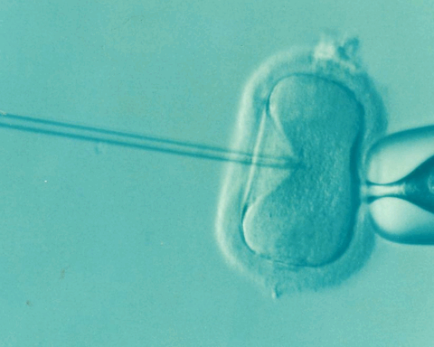 IVF